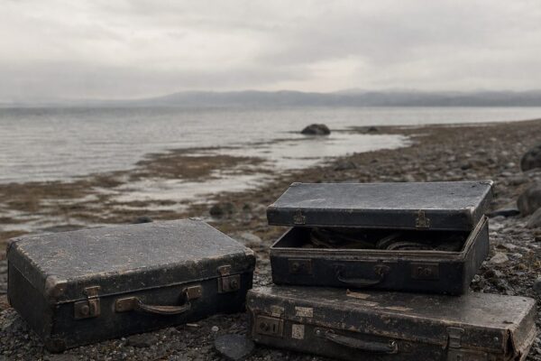 The Suitcase Murder: Which Case Are People Searching For?